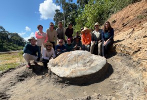 Fóssil de tartaruga-gigante é encontrado no Acre