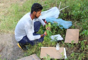 Indigenous researcher revives traditional medical practices of his people