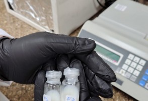 Del laboratorio a la clínica veterinaria: la nanotecnología puede ayudar a tratar enfermedades crónicas en animales