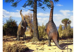 Dinossauro pescoçudo sul-americano podia ficar de pé sobre duas patas com facilidade