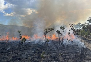Libro reúne décadas de investigación sobre el papel del fuego en ecosistemas sudamericanos