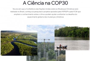 FAPESP publica site especial em preparação para COP30