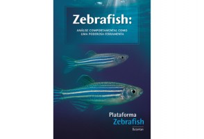 Livro apresenta análise comportamental de zebrafish