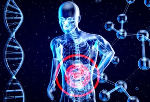 Metabólitos produzidos no intestino têm papel central no controle de obesidade e diabetes