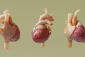 Técnica acessível de imagem pode prever riscos cardíacos em pacientes com doença de Chagas