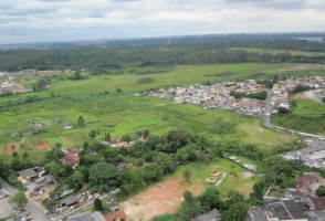 Estudo identifica grande potencial das bordas urbanas para restauração florestal
