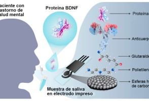 Biosensor identifica en la saliva una proteína asociada a la depresión y la esquizofrenia