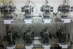 Nuevo estándar para estudios que miden el gasto energético mejora el tratamiento de la obesidad