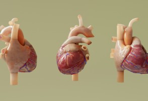 Técnica accesible de imagen puede predecir riesgos cardíacos en pacientes con enfermedad de Chagas