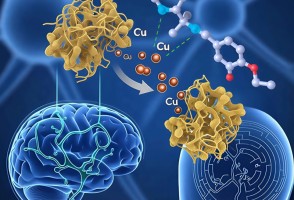 Pesquisadores desenvolvem composto químico com potencial contra doença de Alzheimer