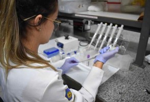 <i>Startup</i> brasileña crea vacuna terapéutica para combatir una enfermedad desatendida