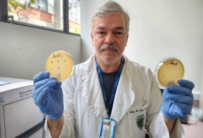 Scientists identify 62 new viruses with the potential for biological control