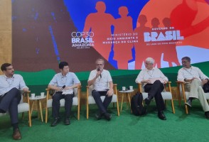 Transição energética representa oportunidade para os países do Sul Global