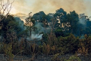 Brasil pode enfrentar uma elevação de 4 °C a 4,5 °C em relação à temperatura pré-industrial, diz Paulo Artaxo