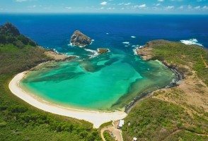 Lemon shark caught preying on invasive freshwater fish in Fernando de Noronha, Brazil