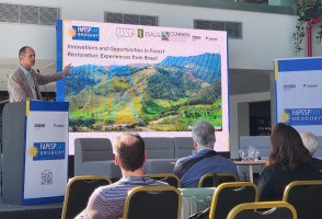 Brasil pode ser o grande poço negativo de carbono do mundo, afirma pesquisador