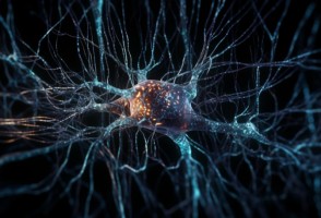 Biomarcador em leucócitos é potencial preditor de depressão