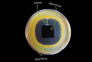 CDMF spin-off company wins award at the BRICS Solutions Awards 2025