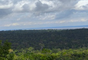 Desmatamento na Amazônia eleva em 3 °C a temperatura da superfície durante a estação seca