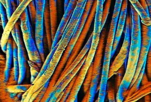 Artista do CDMF representa o Brasil no Festival Internacional de Nanoarte no Japão