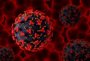 Estudo busca terapias inovadoras contra COVID-19