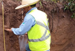 Método simplifica determinação de estoque de carbono no solo com laser e inteligência artificial