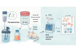 Bio-enriched drink modulates genes linked to utilization of vitamins B9 and D