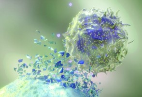 Novas estratégias potencializam a eficácia da terapia CAR-NK contra o câncer