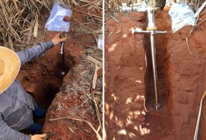 Brasil perdeu 1,4 bilhão de toneladas de carbono do solo por conversão de áreas naturais à agricultura