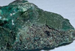 Nidos de tortuga-verde pueden enterrar ‘rocas de plástico’ y comprometer la especie