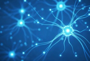 Pesquisadores identificam ‘assinatura neuroimune’ que pode prever complicações da hepatite