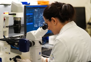 FAPESP defines seven strategic research priorities for the 2026-2028 period