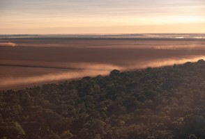 Incendios, sequías y tormentas de viento hacen que la vegetación de la Amazonía sea menos diversa