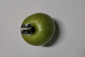 Sensores biodegradáveis acoplados em plantas detectam pesticidas em três minutos