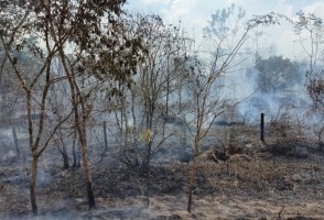Longer droughts and changes in rainfall are already occurring in the Amazon, research indicates