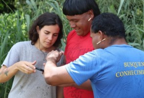 Indigenous territory maintains ecological stability amid agricultural expansion in the Brazilian savanna