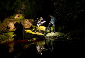 No topo dos tepuis: expedição científica inicia coletas na Serra do Aracá