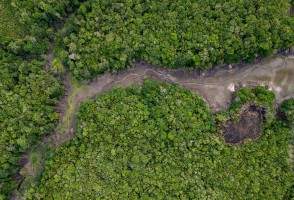 Temperatura máxima na estação seca já aumentou mais de 3 °C em área preservada da Amazônia