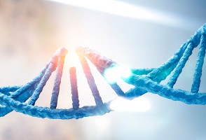 Falha no reparo do DNA materno compromete desenvolvimento embrionário e gera mutações pós-fecundação