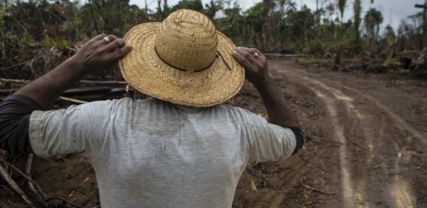 Tamanho da população rural é subestimado no Brasil e falta representação  política, afirmam cientistas