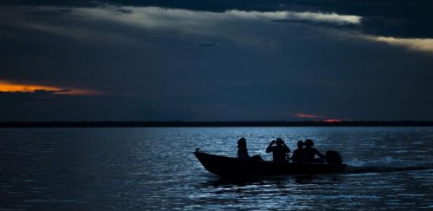 Amazon+10 Initiative and CNPq issue new call to support scientific ...