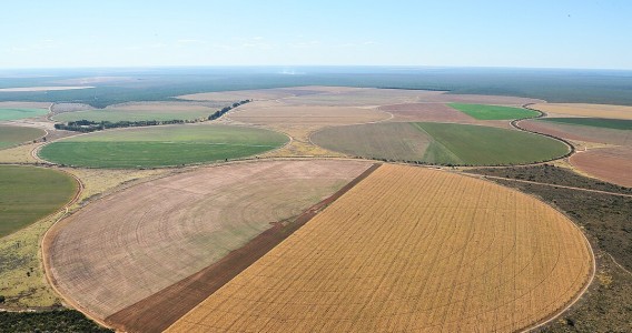 El uso excesivo del agua en un área de Brasil puede comprometer un 40 % de la demanda agrícola de riego