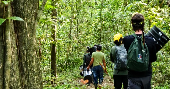 Cientistas avaliam como répteis e anfíbios lidam com mudança climática em ilha de Roraima