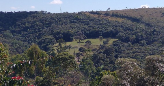 Ferramenta identifica áreas ecologicamente equivalentes para orientar projetos de restauração