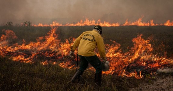 Degradação da Amazônia cresce 163% em dois anos, enquanto desmatamento cai 54% no mesmo período