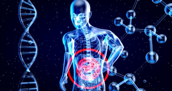 Metabolites produced in the intestine play a central role in controlling obesity and diabetes