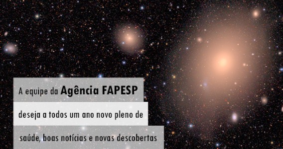 Edição especial de final de ano