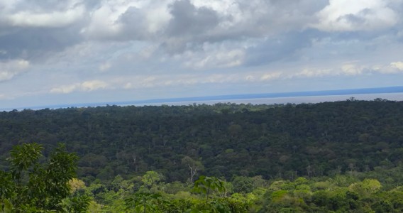 Desmatamento na Amazônia eleva em 3 °C a temperatura da superfície durante a estação seca
