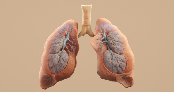 La biopsia líquida avanza como herramienta para detectar mutaciones en cáncer de pulmón