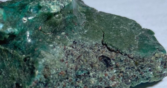 Ninhos de tartaruga-verde podem soterrar ‘rochas de plástico’ e comprometer espécie